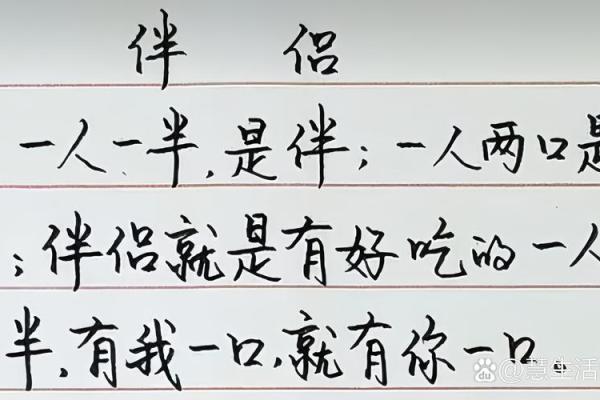 1994年属狗人士的命格解析与人生归宿探讨