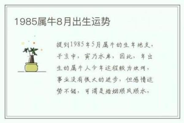1985年出生的人属牛，他们的性格与运势揭秘！