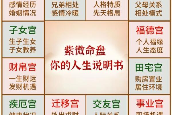 2014年男宝命运解析：从八字看人生轨迹与发展潜力