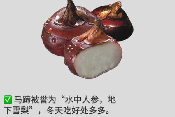 “可命king”现象：网络文化中有趣的梗与影响分析