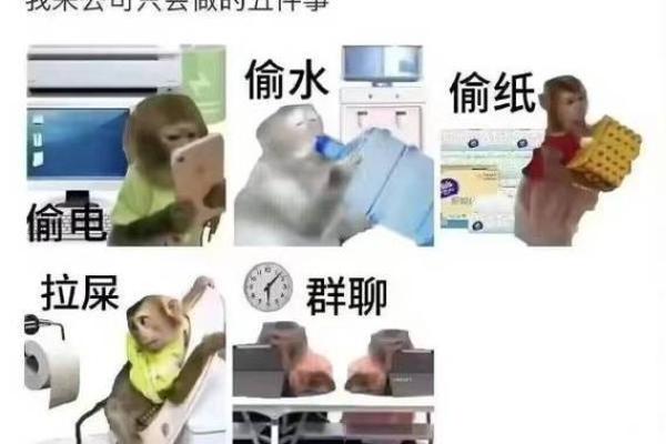 “可命king”现象：网络文化中有趣的梗与影响分析