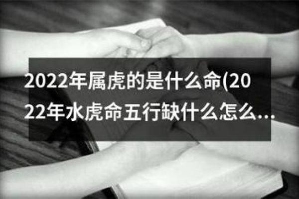 属虎男孩的命运解析：如何打造最好的未来？