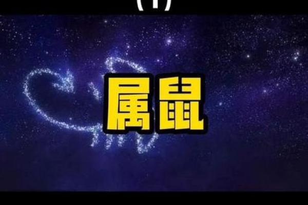 探秘鼠年出生者的命格：聪颖与灵动的命理解析