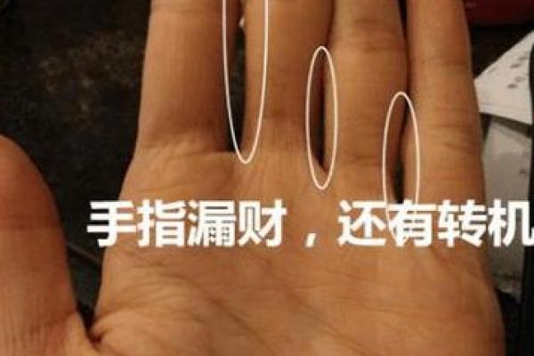 手指长毛，命理中的神秘象征与生活影响