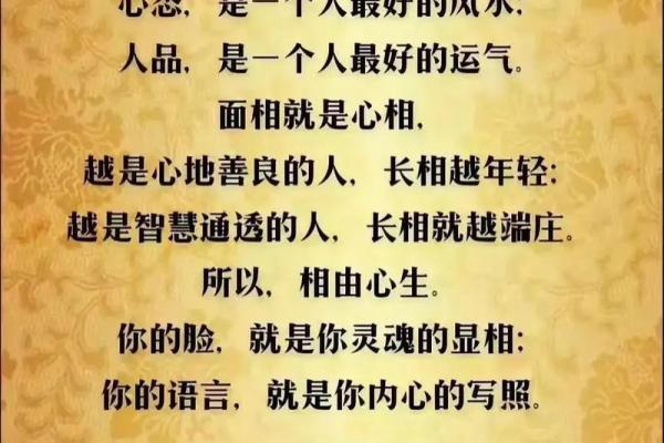 道家重生贵命：寻找内心的真正自我与生命的智慧