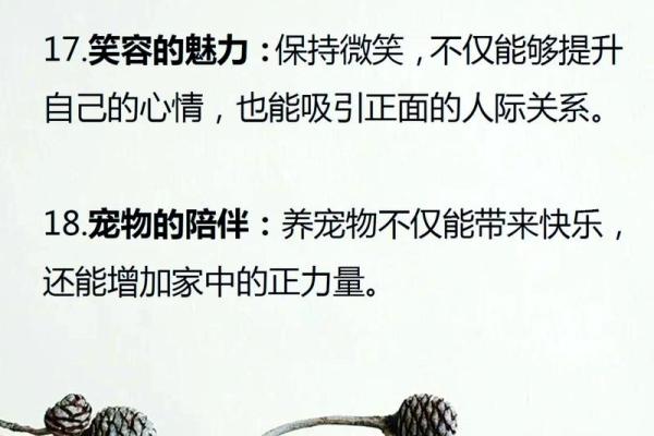 了解金命佩戴材质的智慧与选择，助您提升运势与魅力