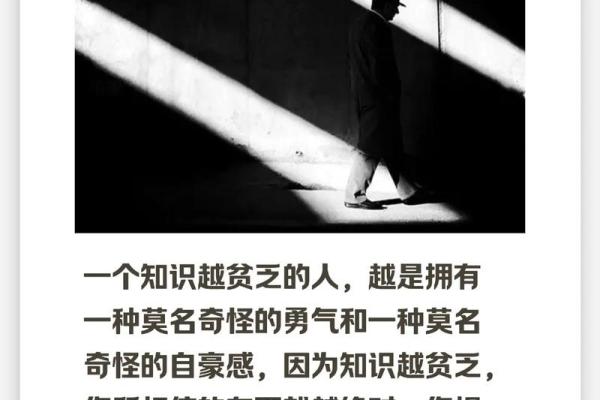 19982年属狗命运解析：充满智慧与勇气的狗年之人