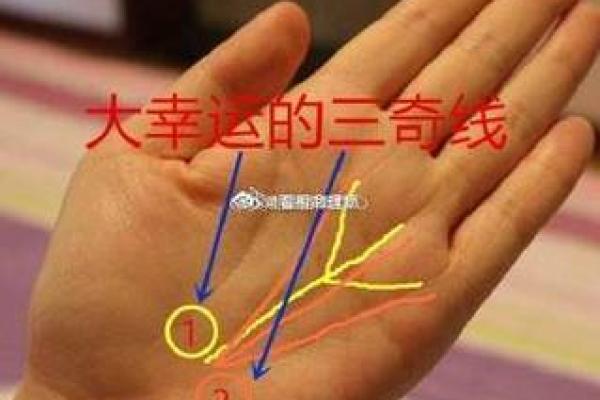 探索富贵命：如何通过男人的手掌纹路看财富命运