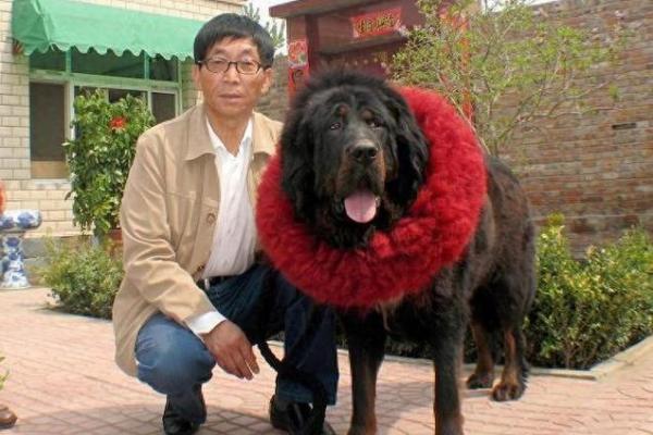 根据动物的习性，探讨小富贵的命运及其背后的象征意义