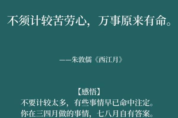 为什么我命这么苦？探索命运背后的真相与洒脱