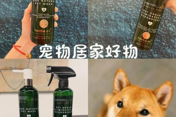 灯头火命的人适合养哪些宠物？