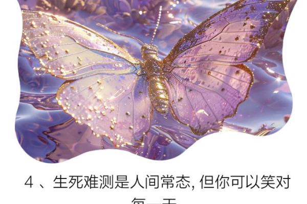 用名字解析命运，探索你的生命之旅！