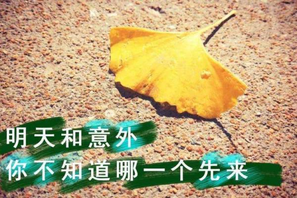 正月十一出生的虎年命运解析：阐释生命中的各种可能
