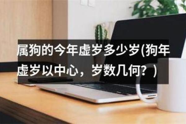 28岁属狗，命运之钥：解析2019年出生狗年的命理与风水