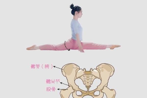孩子的骨头很硬，未来的路该如何走？