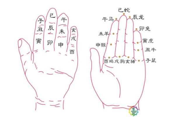 探索命字背后的生肖秘密：揭示你的性格与命运！