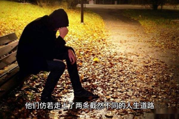 55岁男性的命运分析：解读命理与人生的交汇点