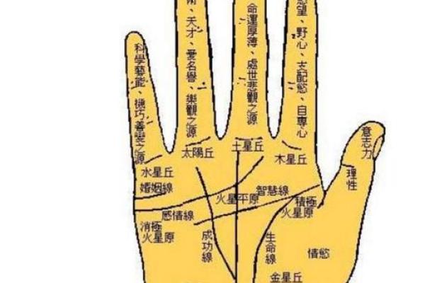 探寻无手纹手掌的奥秘：命运与性格的深刻联系