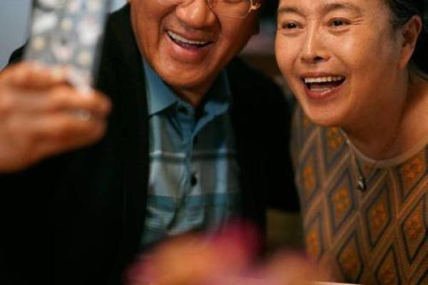 2004年出生的鸡年命：探索命理与人生的奇妙交织