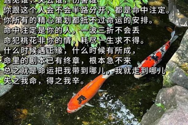 为什么有些女人命中注定成为寡妇？探寻背后的原因与命理解析