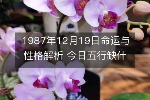 1957年命运的启示：解读纳音与生活的深刻联系