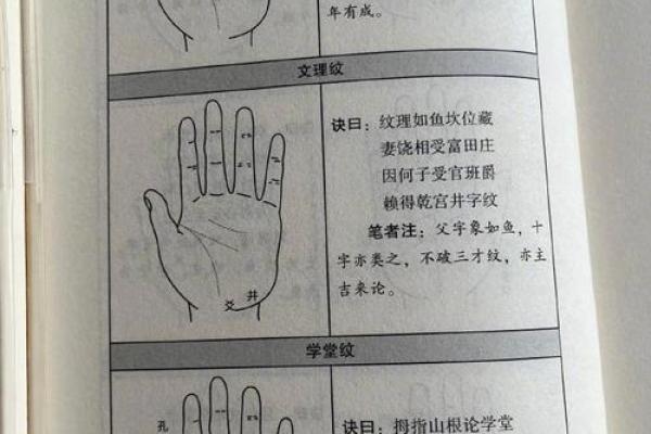 揭秘手相学：如何通过手相识别旺夫命与好运的特征