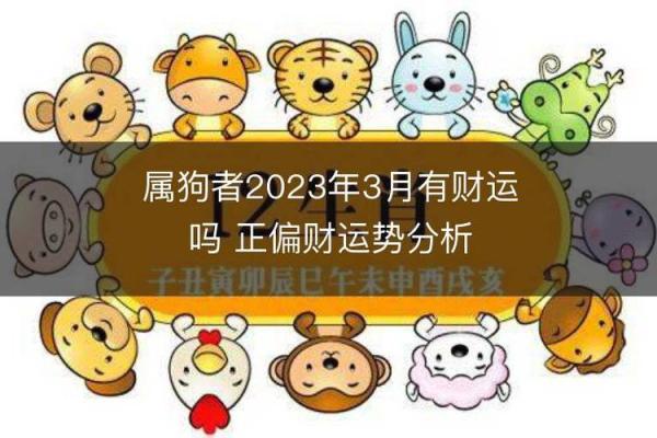 2023年熟狗人命运解析：财富与机遇并存，如何把握时机？