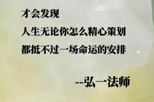 属猪子时出生的人生格局与命运分析