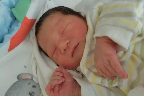 兔年出生的小孩命理解析：如何预测未来的光辉与挑战