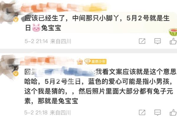 兔年出生的小孩命理解析：如何预测未来的光辉与挑战