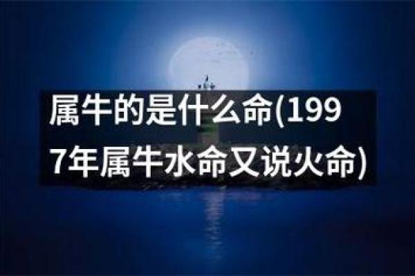 天上火命：揭秘最适合你的属相与命理搭配！