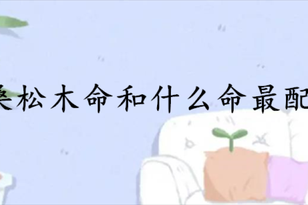 金命人如何提升自身运势与发展方向探讨