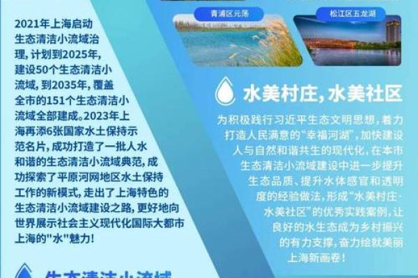 断尾眉的人是什么命？探索生命与命运的奥秘