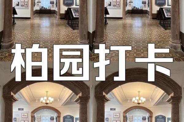 探寻童子命的秘密：人生幸福与成功的指引