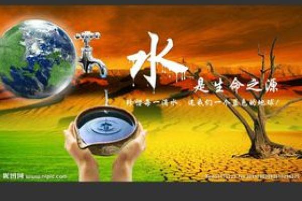 水命中的理想水源：生活与命理的完美结合