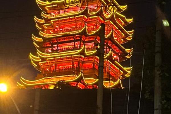 2023年属鼠的命运：机遇与挑战并存，助你绽放人生光彩！