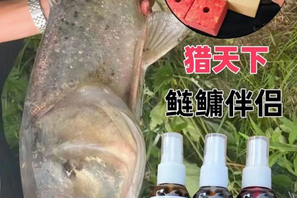 山头火命婚配忌讳：如何找到理想伴侣的秘密