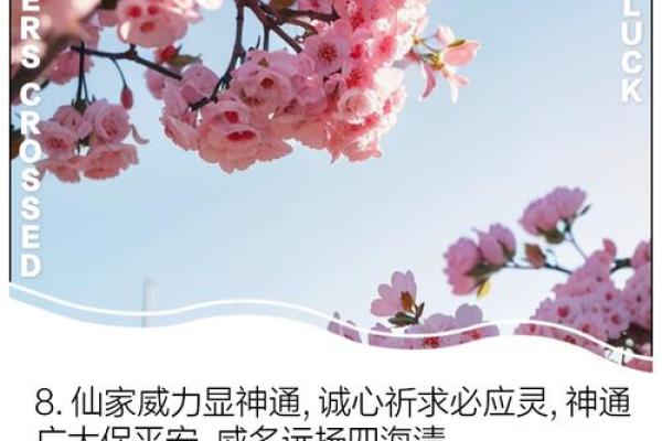 探寻仙家命局的奥秘：如何解读命运与人生的交汇点