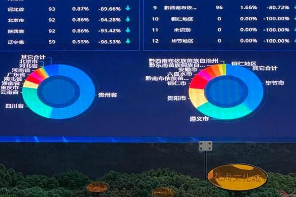 乙酉命格的魅力与特质：解析其属性与生活智慧