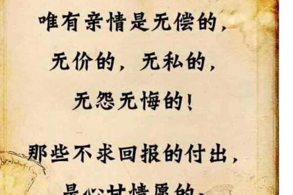 探索命运的多样性：一只小猫的心灵旅程
