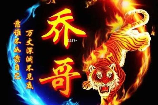 姓氏与命运：揭示人生背后的隐秘法则