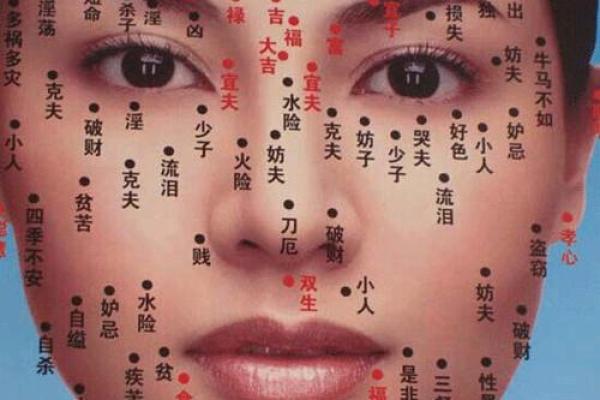亥时出生的女人命运解析：神秘而独特的生活轨迹