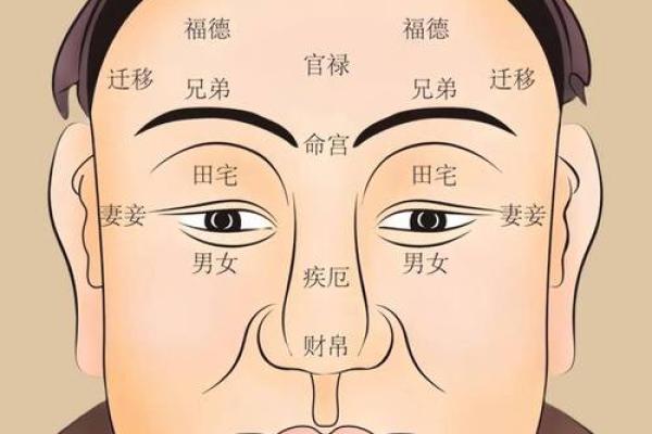 2018年男命解析：五行属性与命运的奥秘探讨
