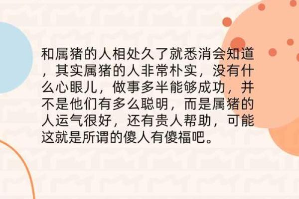 1995年属猪之命：探索猪年出生者的命理与运势