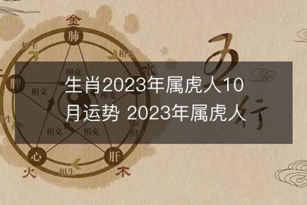 2023年属虎人命运解析：运势、财运、感情与职场全解析