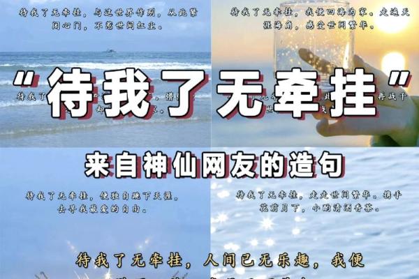 赤心巡天骄命：探寻宇宙中的命运与信念之旅