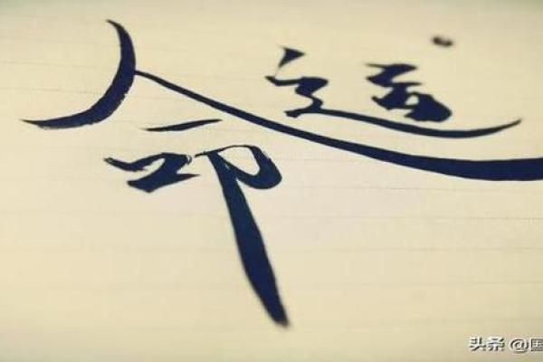 揭秘1985年腊月十二的命运启示，感悟生活的哲学