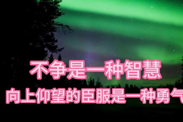 揭开借命瞒天过海的神秘面纱：一种不为人知的智慧与勇气