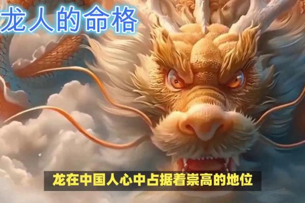 2024年属龙命运解析：明年虎年里的最佳命格曝光！