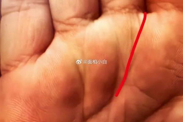 智慧线分叉的命运解析：你安全吗？